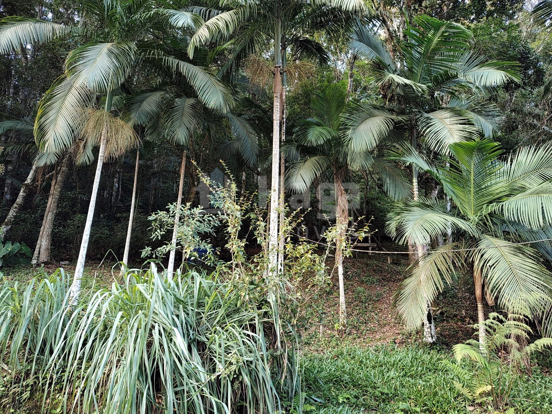 Country home of 2 acres in Itajaí, SC, Brazil