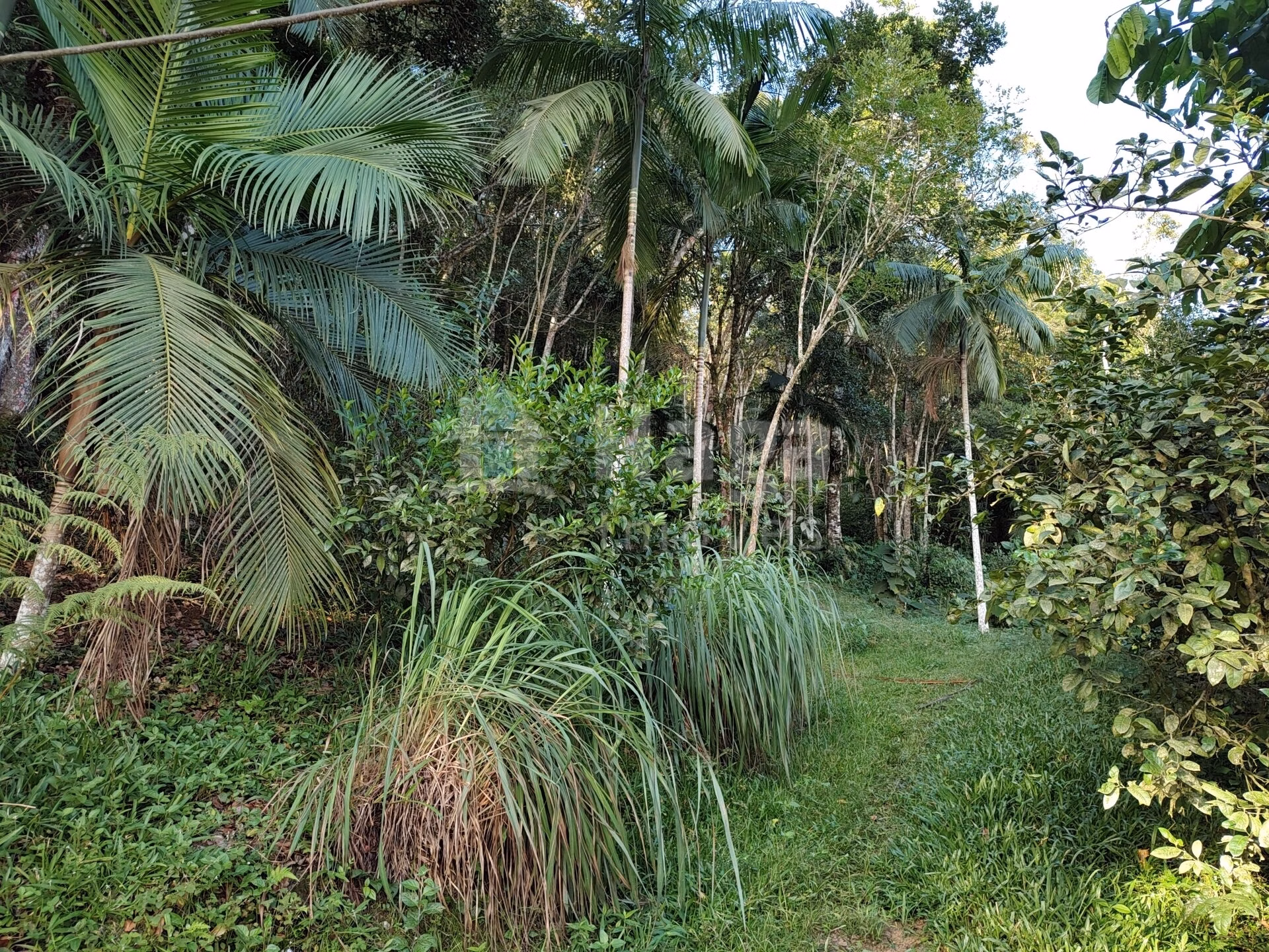 Country home of 2 acres in Itajaí, SC, Brazil