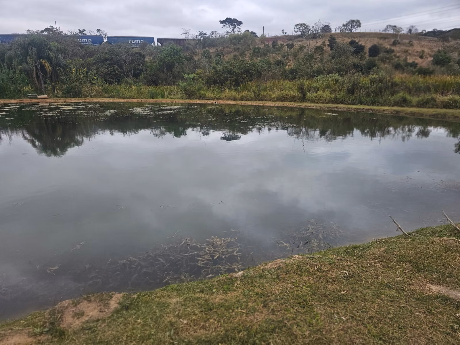 Sítio de 2 ha em São Roque, SP