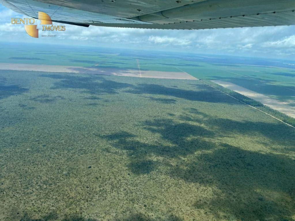 Fazenda de 556 ha em Campo Novo do Parecis, MT