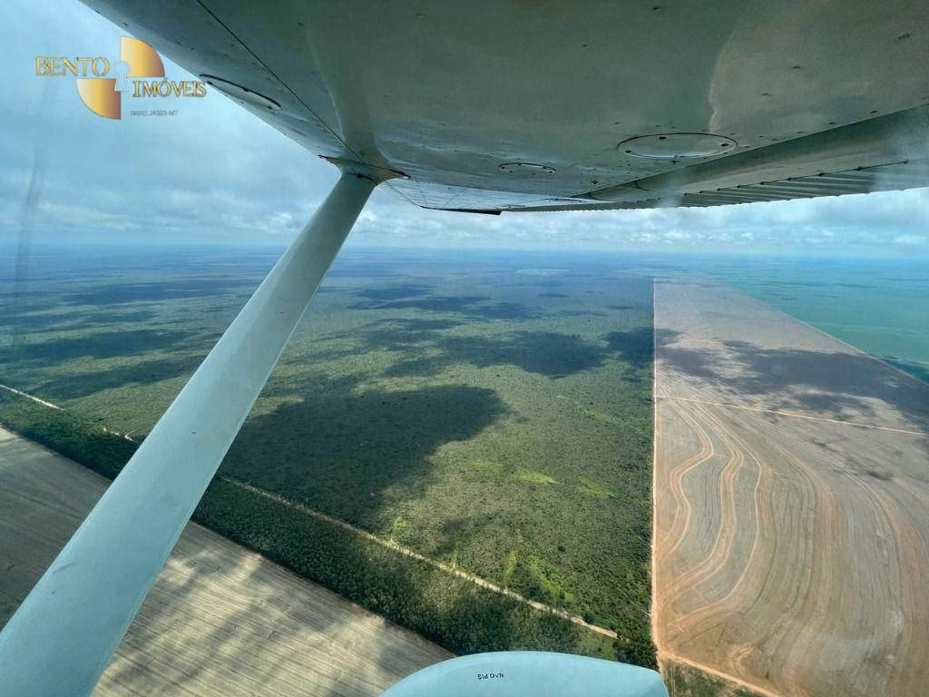 Fazenda de 556 ha em Campo Novo do Parecis, MT