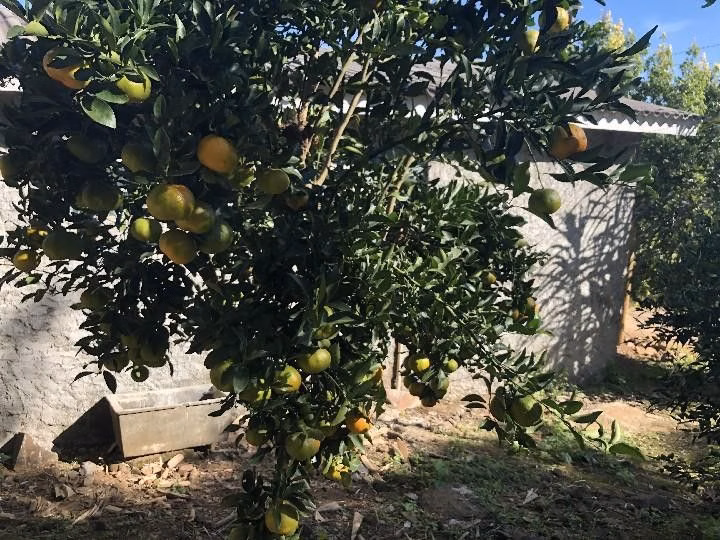 Terreno de 300 m² em Santo Antônio da Patrulha, RS