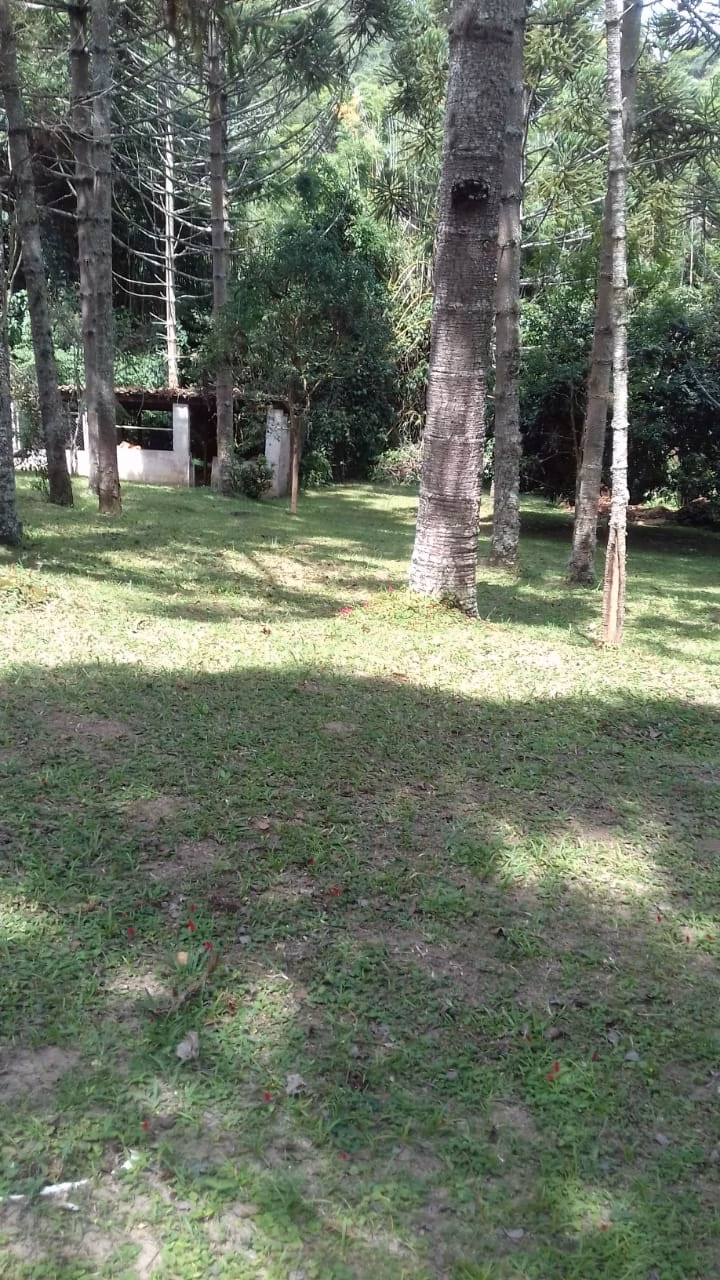 Chácara de 5 ha em Pinhalzinho, SP