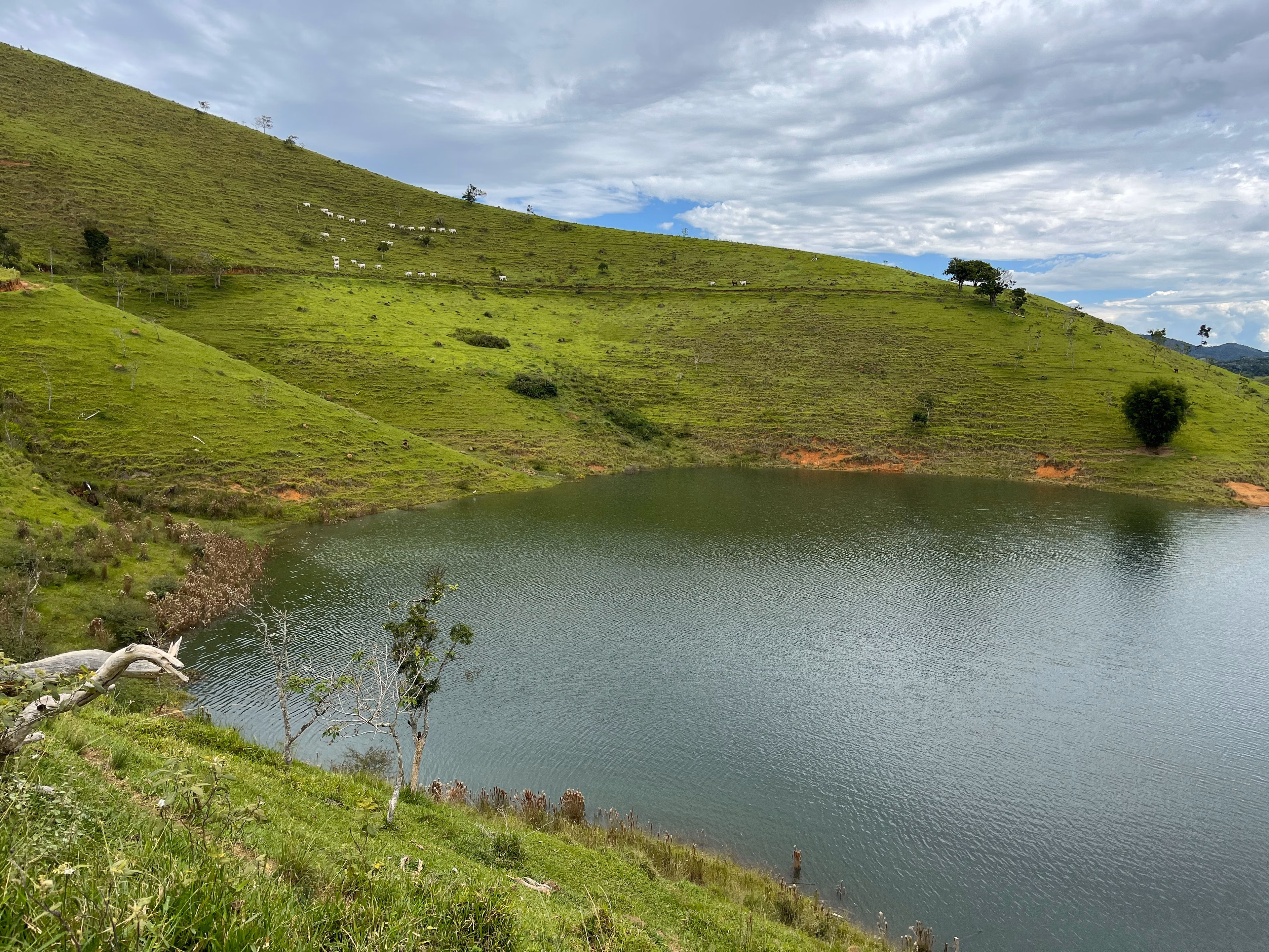 Fazenda de 339 ha em Natividade da Serra, SP