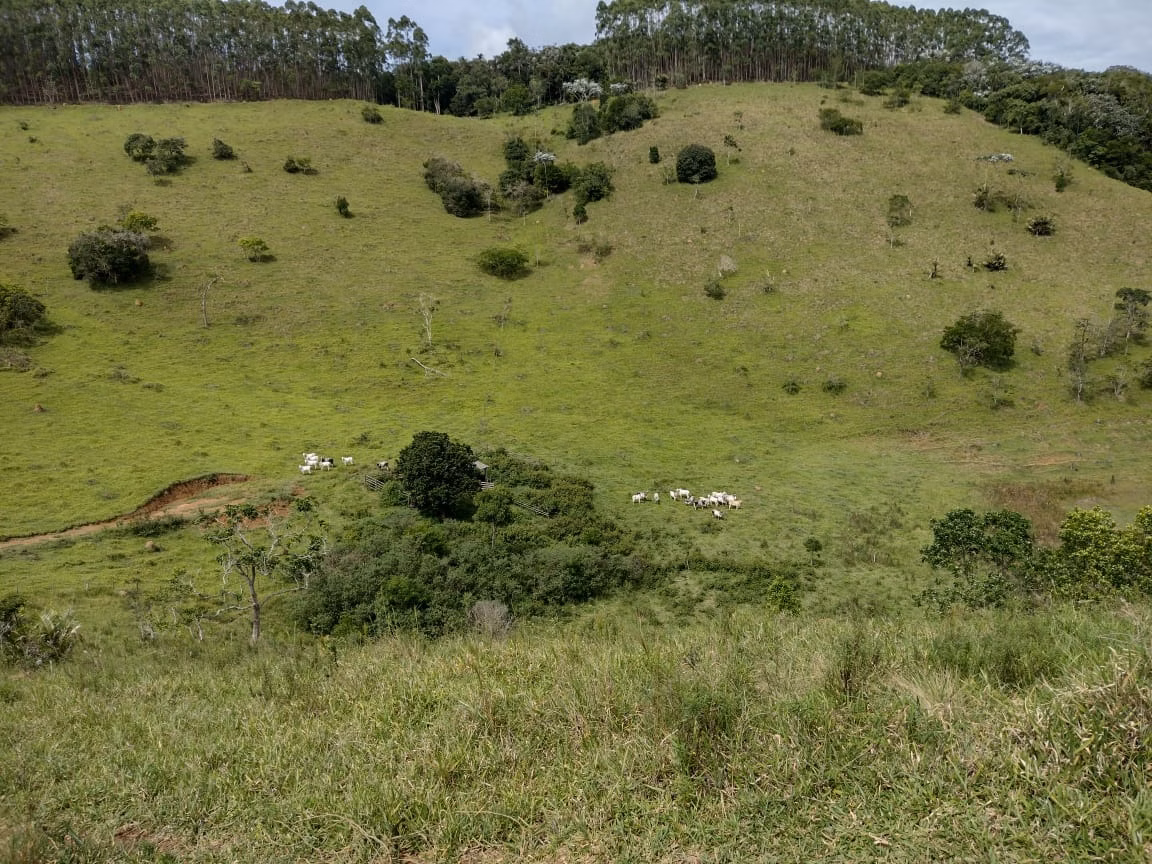 Fazenda de 339 ha em Natividade da Serra, SP