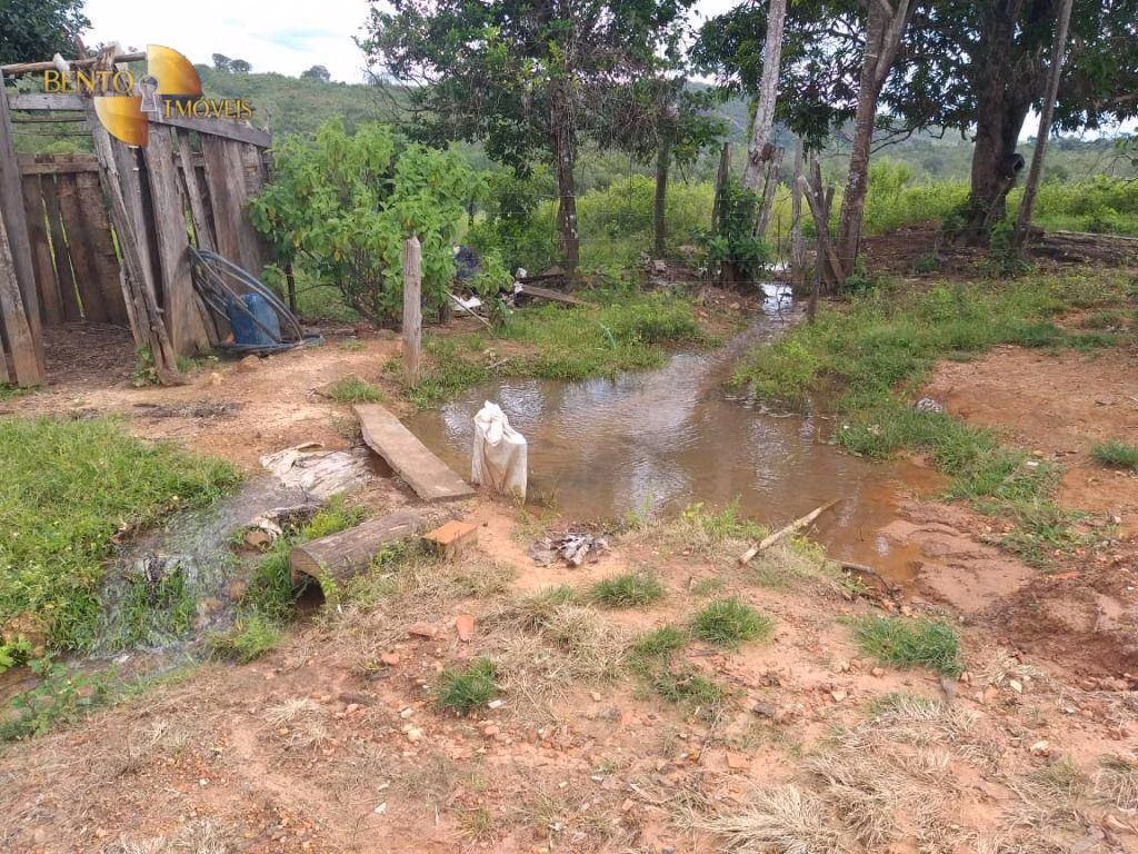 Fazenda de 2.126 ha em Tesouro, MT