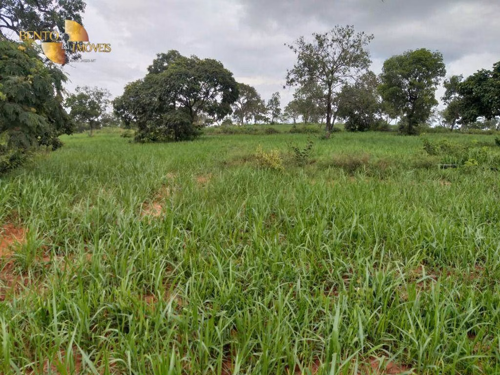 Fazenda de 2.126 ha em Tesouro, MT