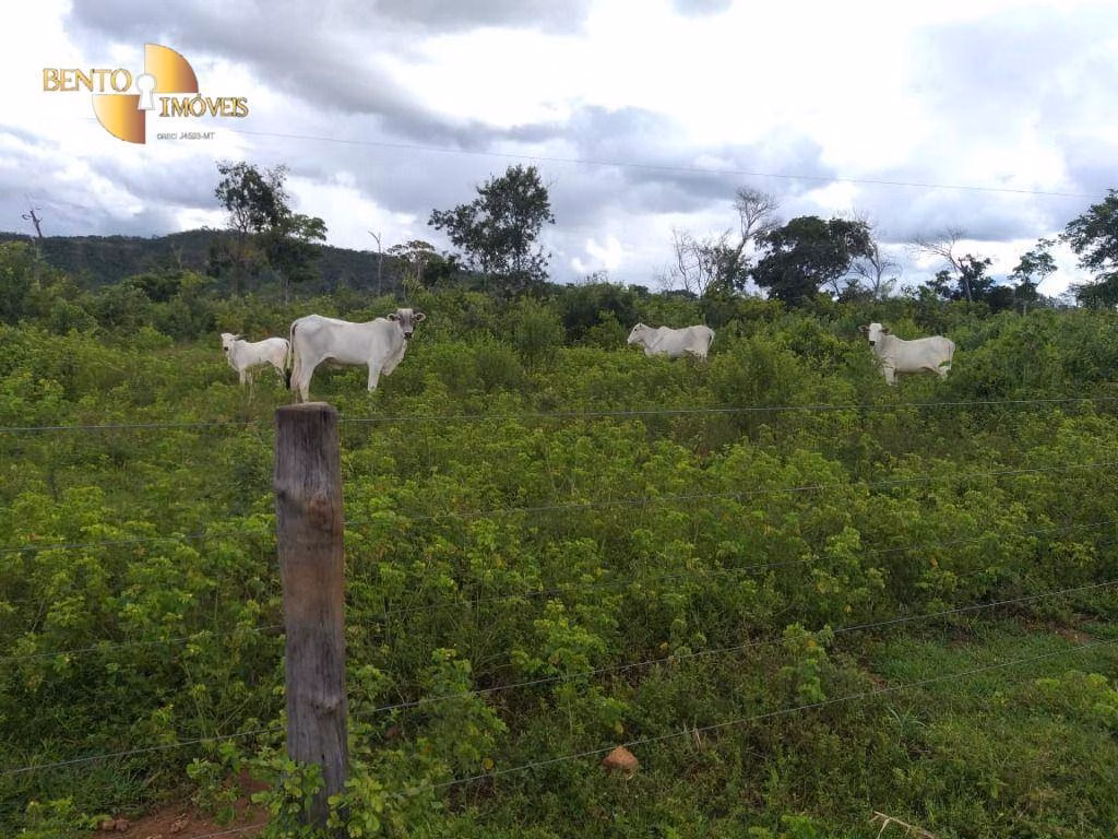 Fazenda de 2.126 ha em Tesouro, MT