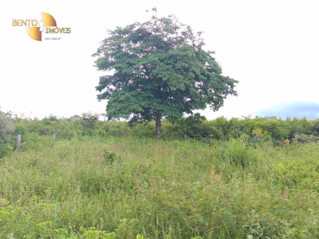 Fazenda de 2.126 ha em Tesouro, MT