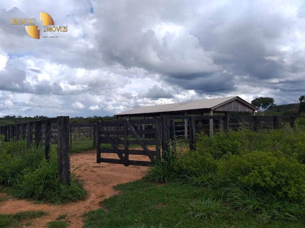Fazenda de 2.126 ha em Tesouro, MT