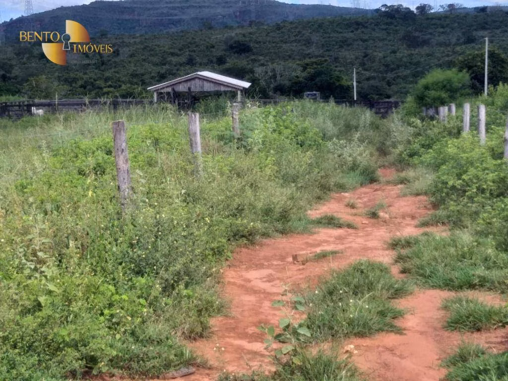 Fazenda de 2.126 ha em Tesouro, MT