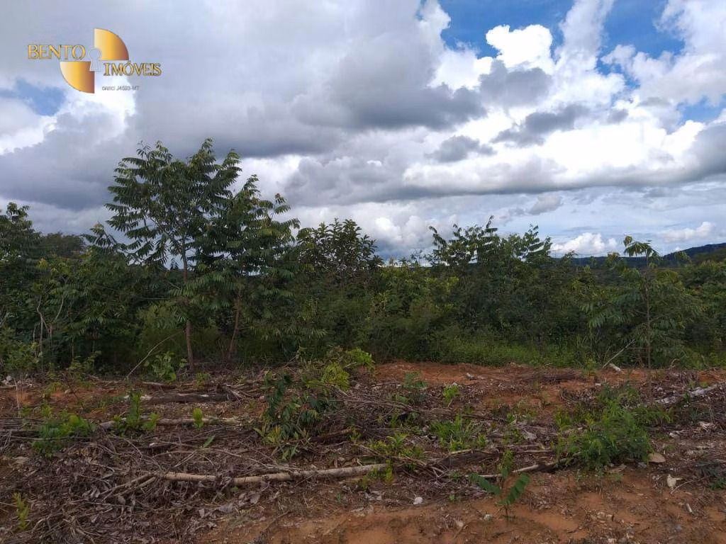 Fazenda de 2.126 ha em Tesouro, MT