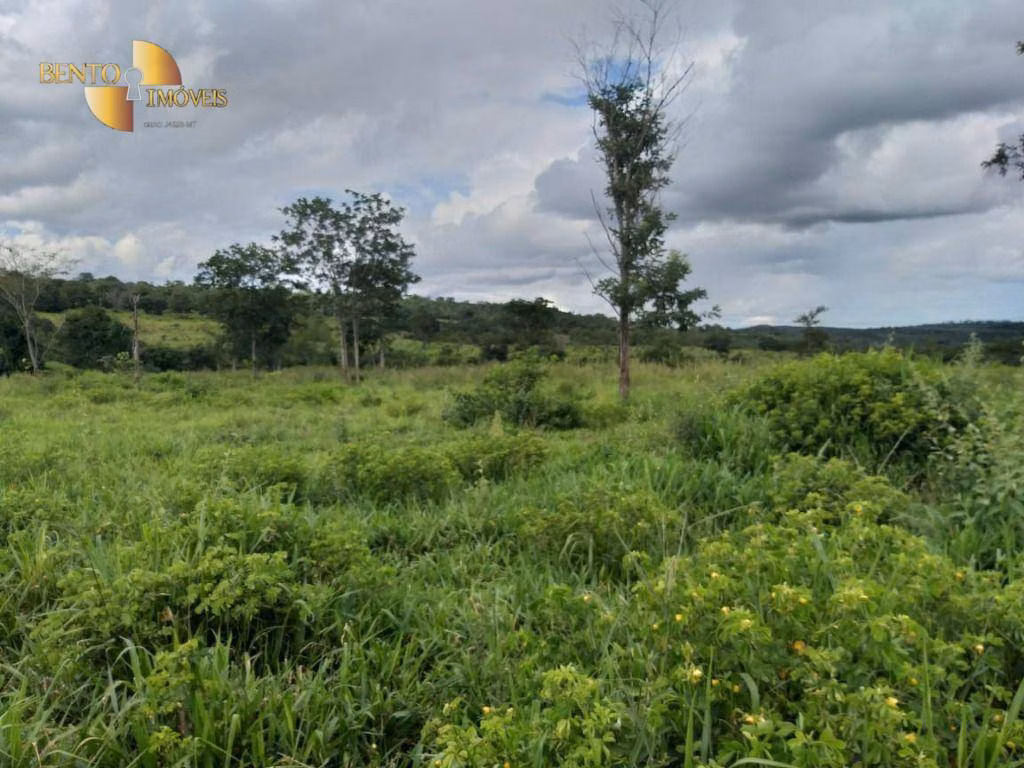 Fazenda de 2.126 ha em Tesouro, MT