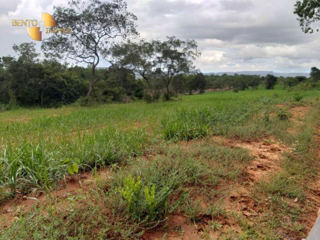 Fazenda de 2.126 ha em Tesouro, MT