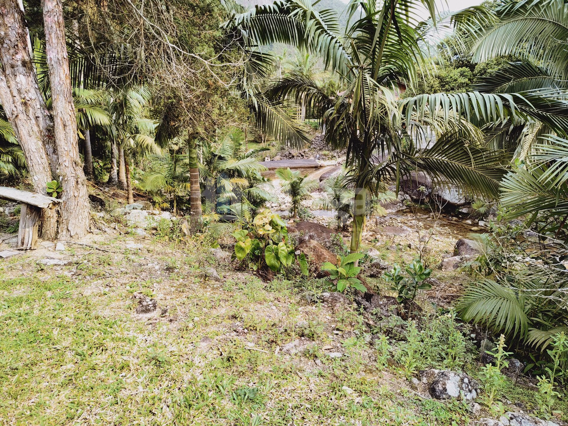 Fazenda de 5 ha em Guabiruba, SC