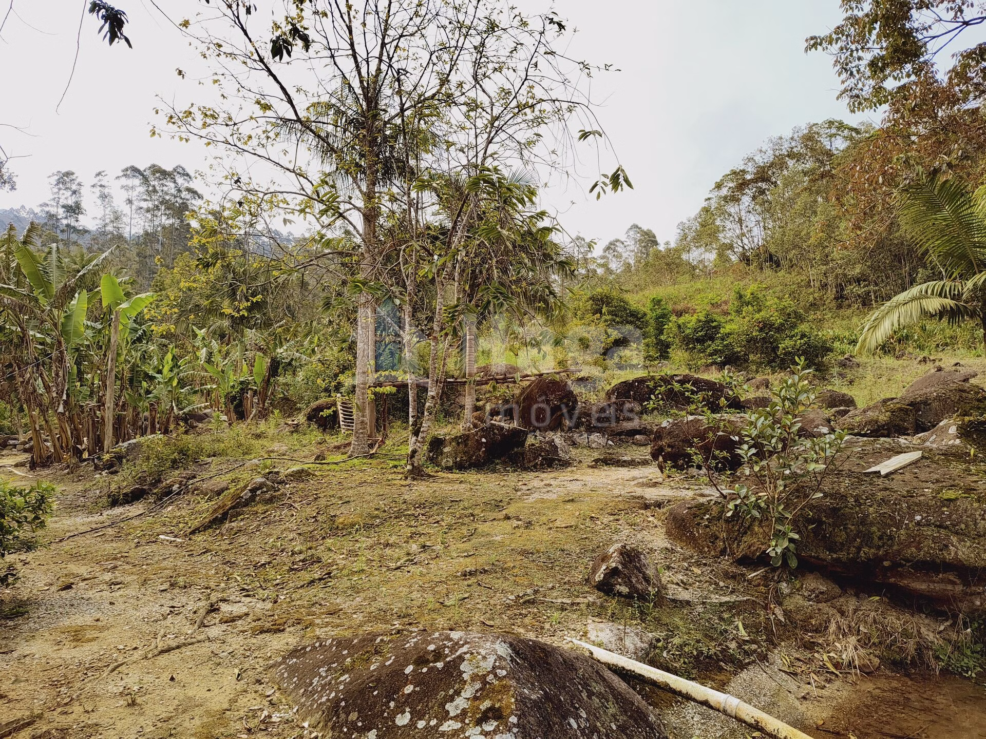 Fazenda de 5 ha em Guabiruba, SC