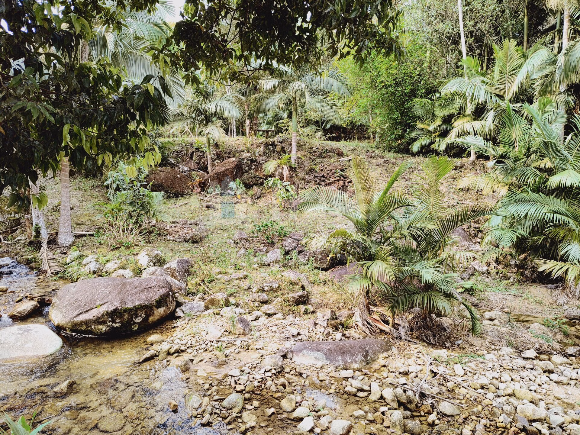 Fazenda de 5 ha em Guabiruba, SC