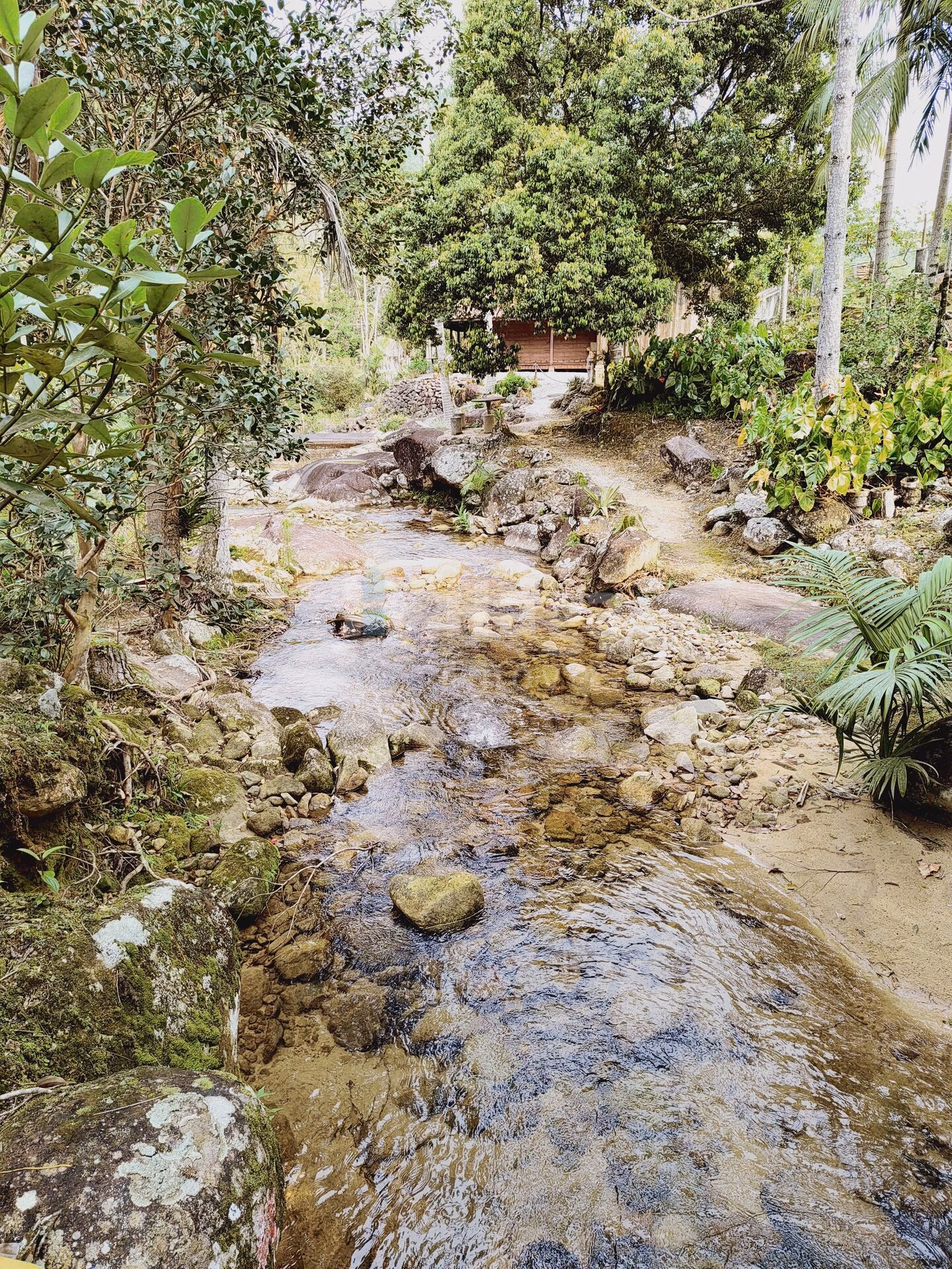 Fazenda de 5 ha em Guabiruba, SC