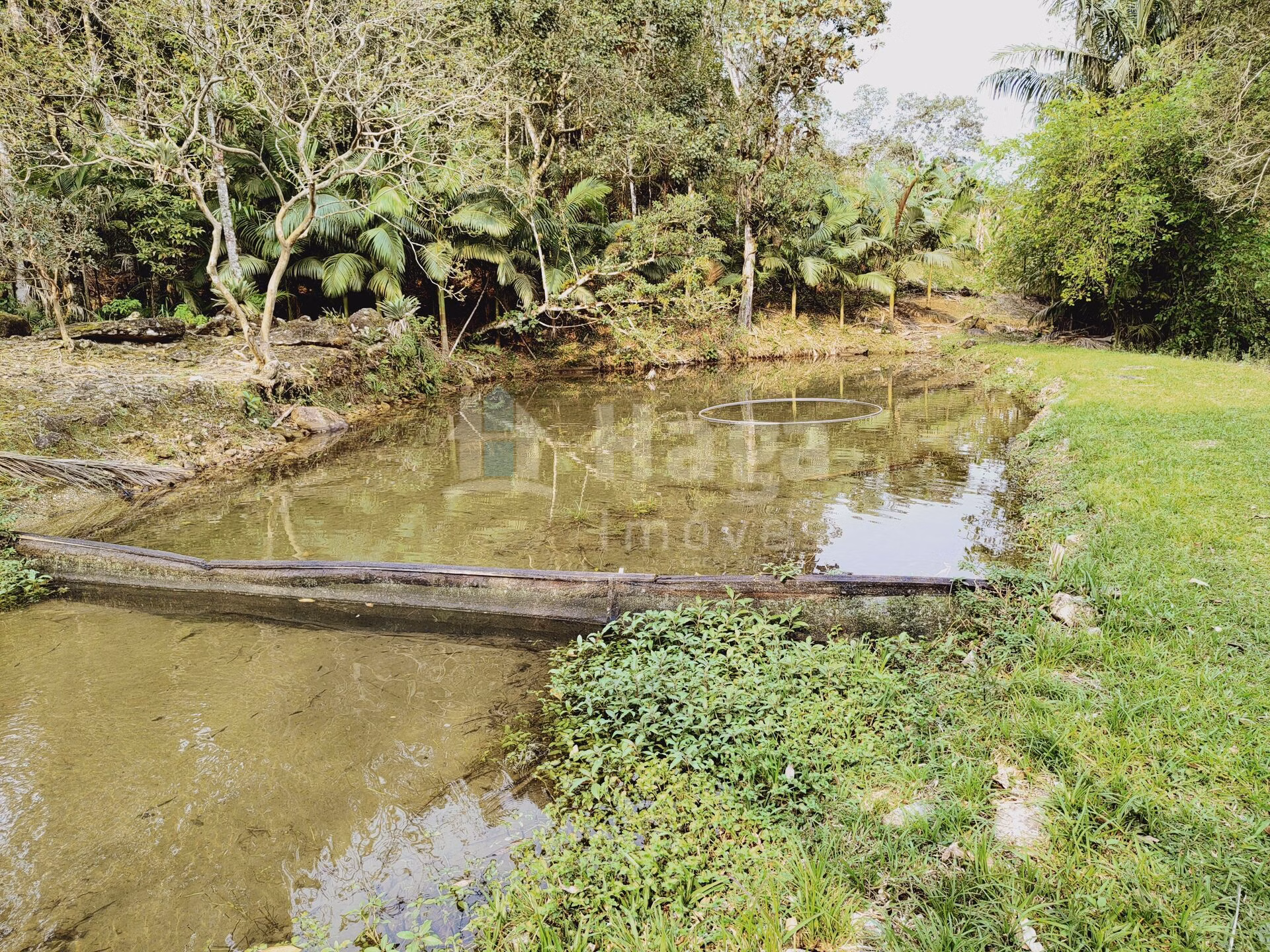 Fazenda de 5 ha em Guabiruba, SC