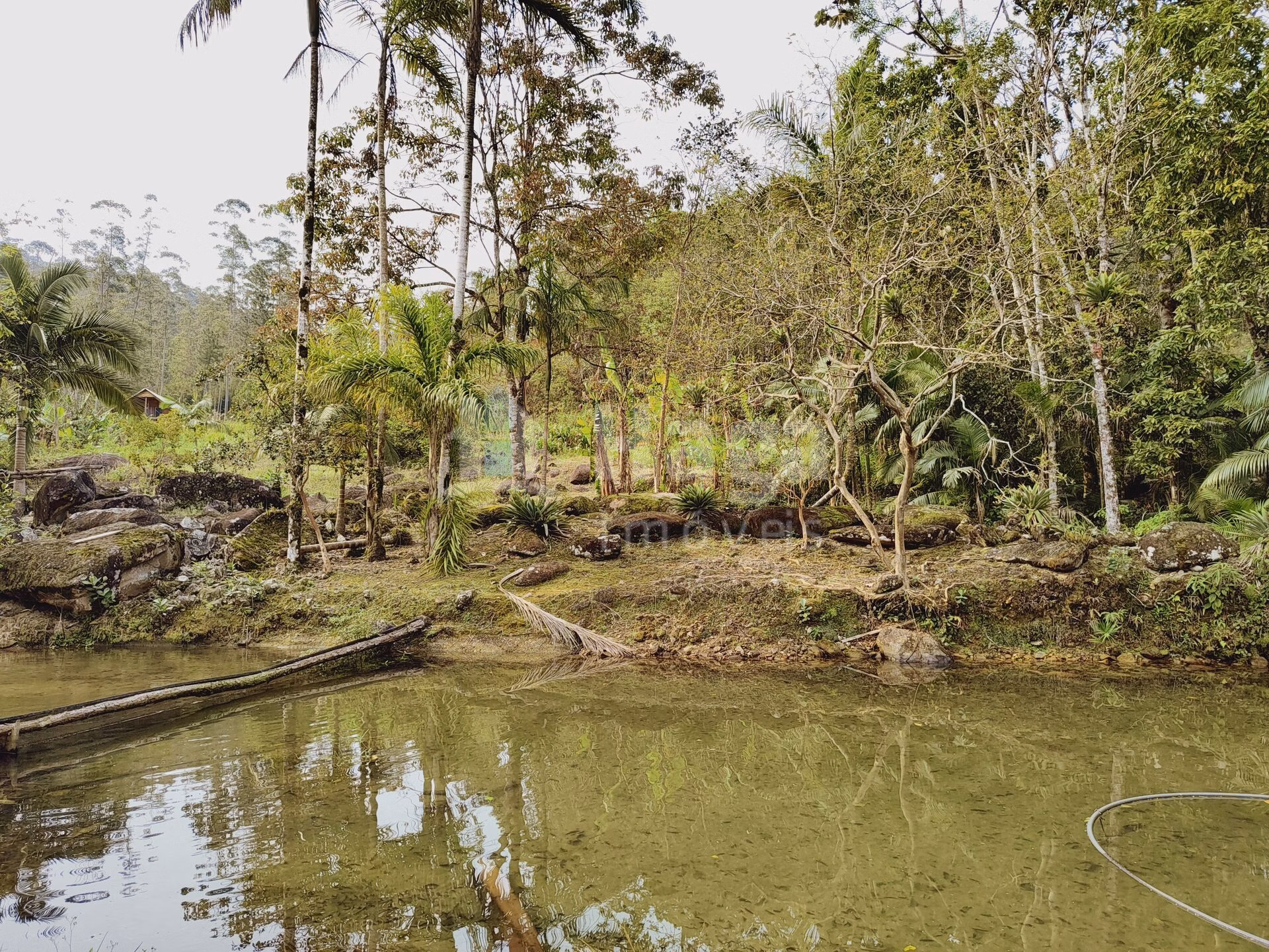 Fazenda de 5 ha em Guabiruba, SC