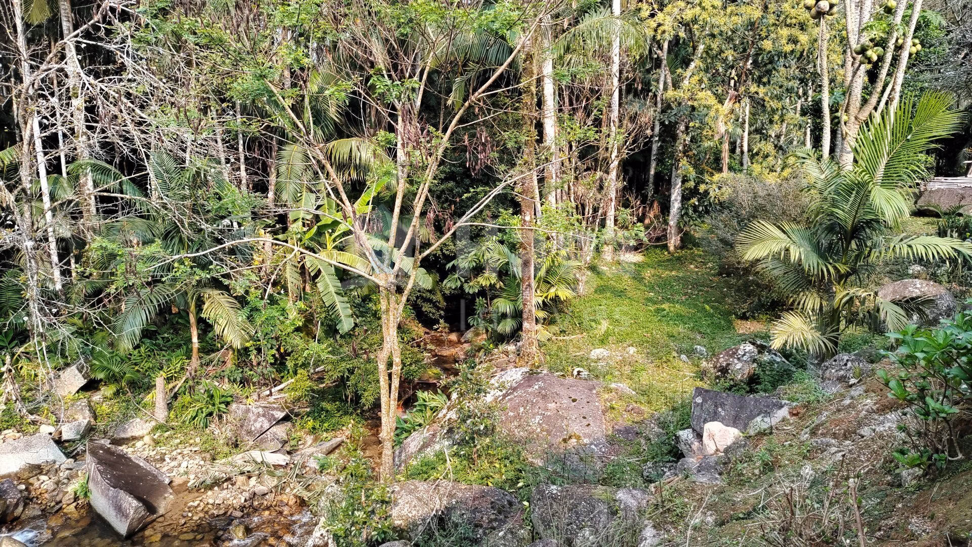 Fazenda de 5 ha em Guabiruba, SC
