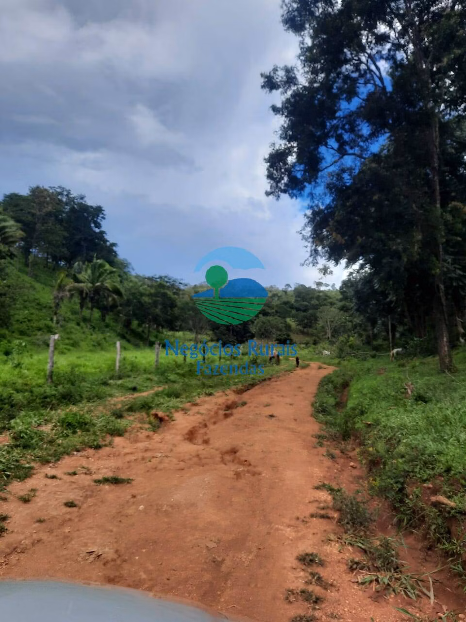Fazenda de 401 ha em Mimoso de Goiás, GO