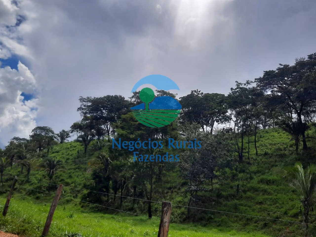 Fazenda de 401 ha em Mimoso de Goiás, GO