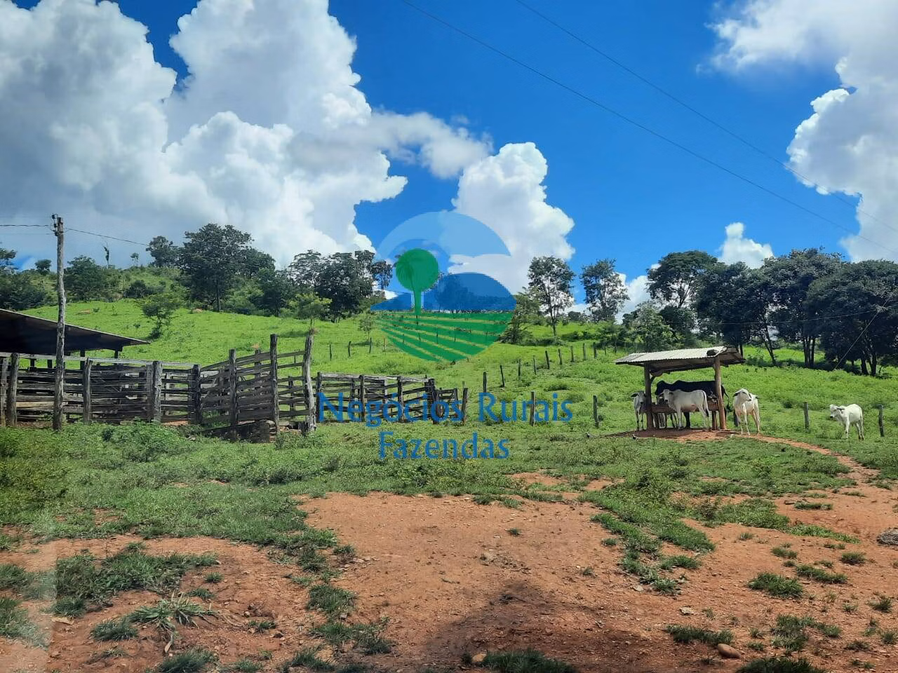 Fazenda de 401 ha em Mimoso de Goiás, GO