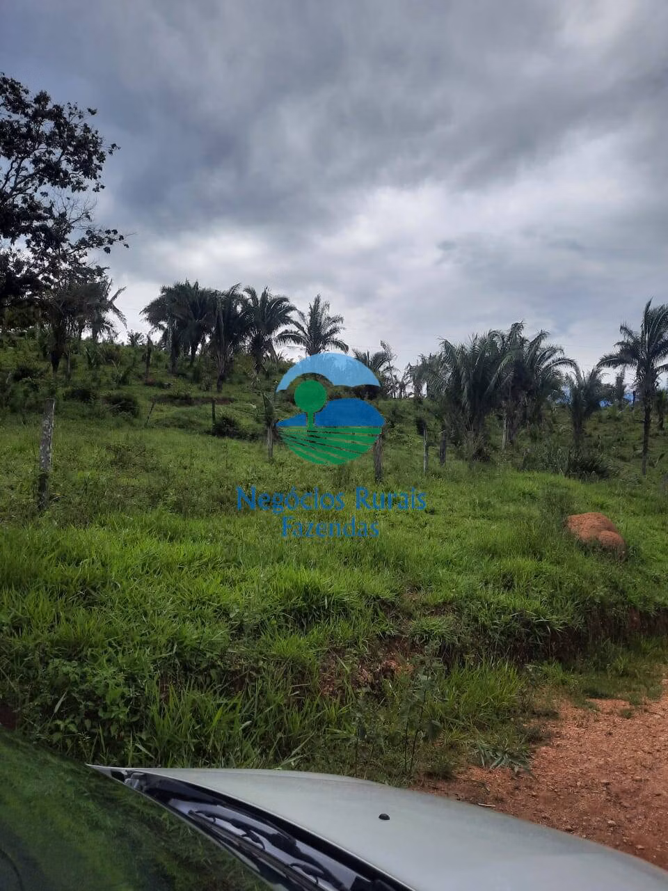 Fazenda de 401 ha em Mimoso de Goiás, GO