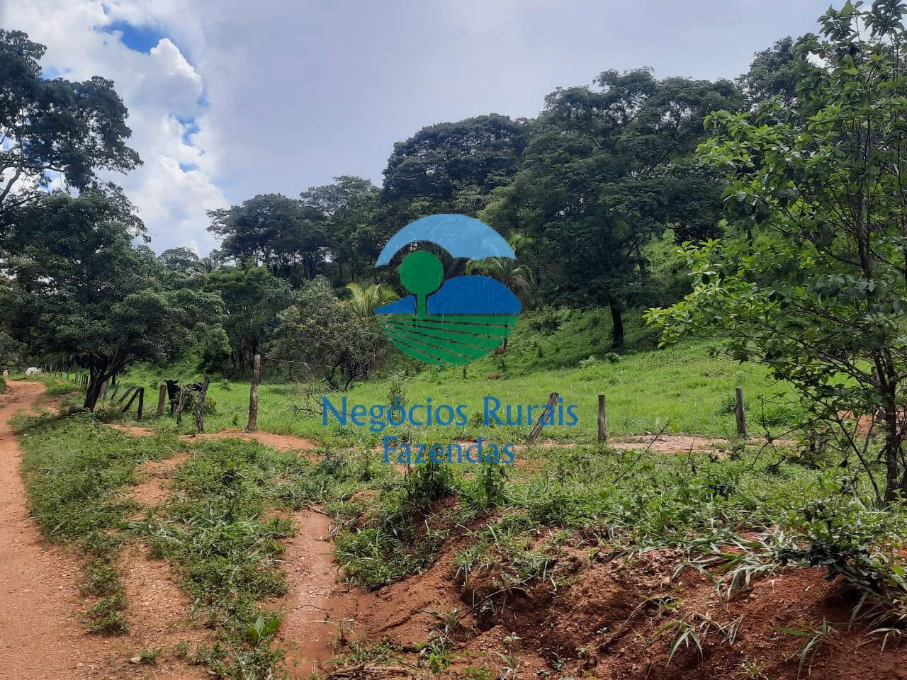 Fazenda de 401 ha em Mimoso de Goiás, GO