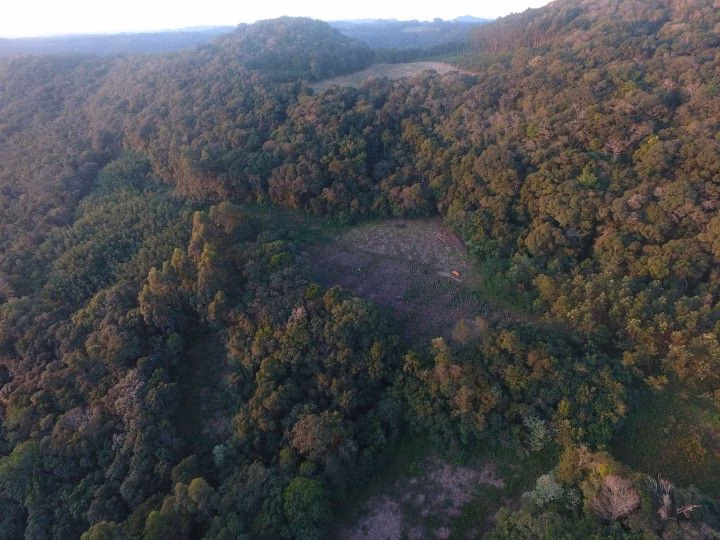 Sítio de 18 ha em Sapiranga, RS