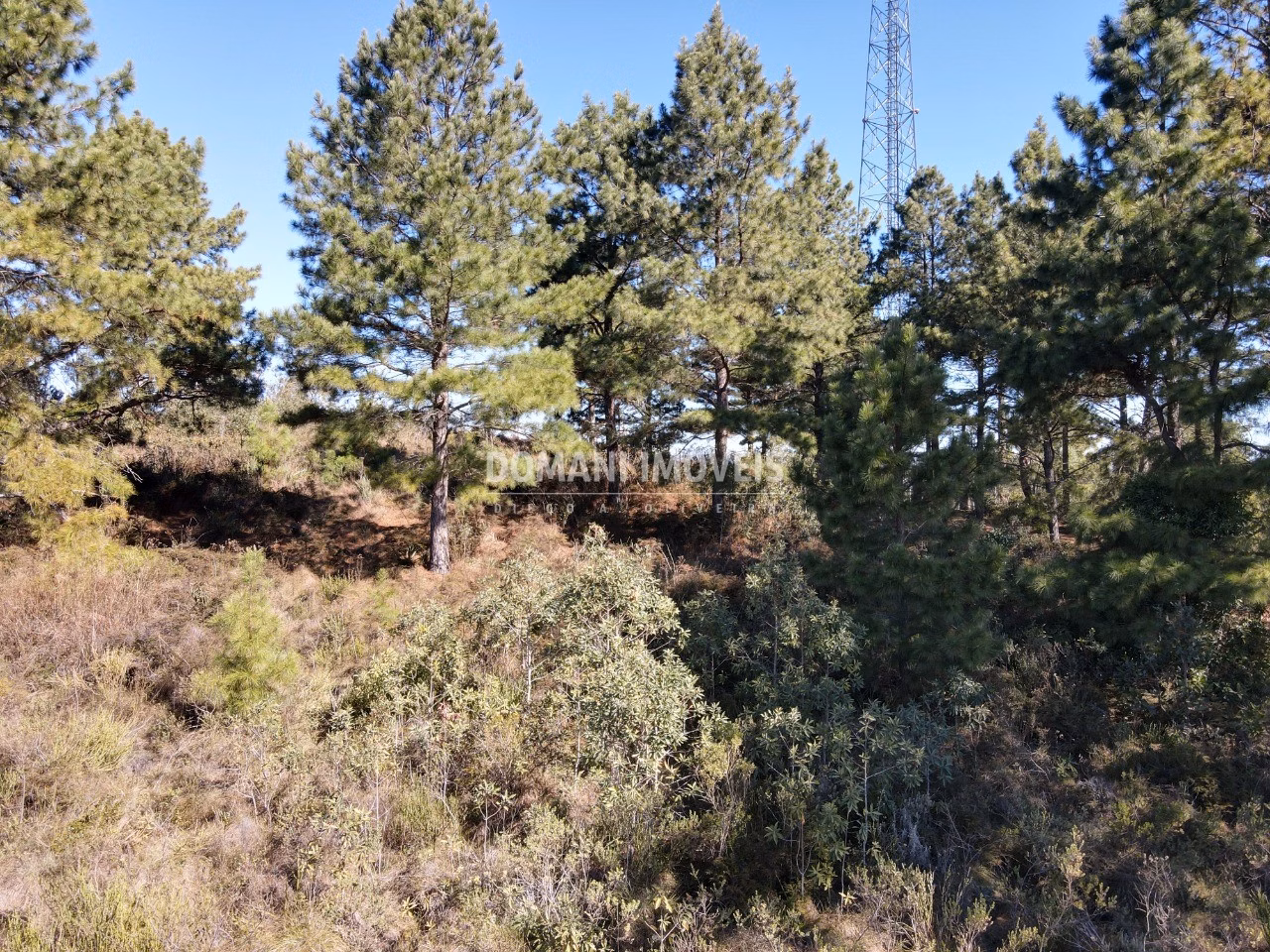 Plot of 1,030 m² in Campos do Jordão, SP, Brazil