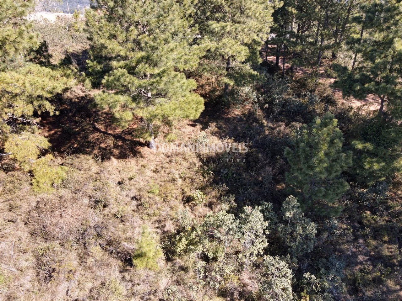 Plot of 1,030 m² in Campos do Jordão, SP, Brazil