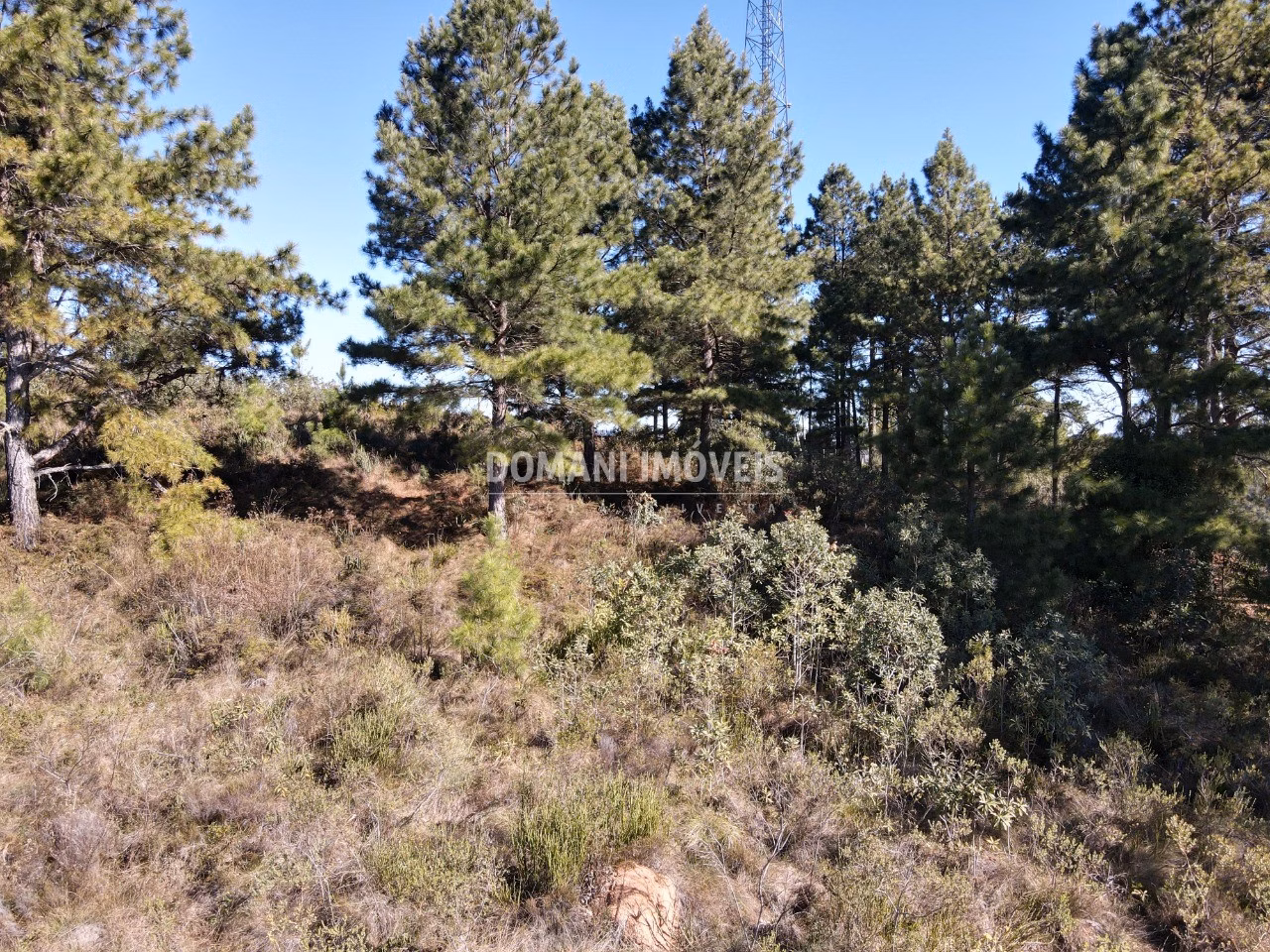 Plot of 1,030 m² in Campos do Jordão, SP, Brazil