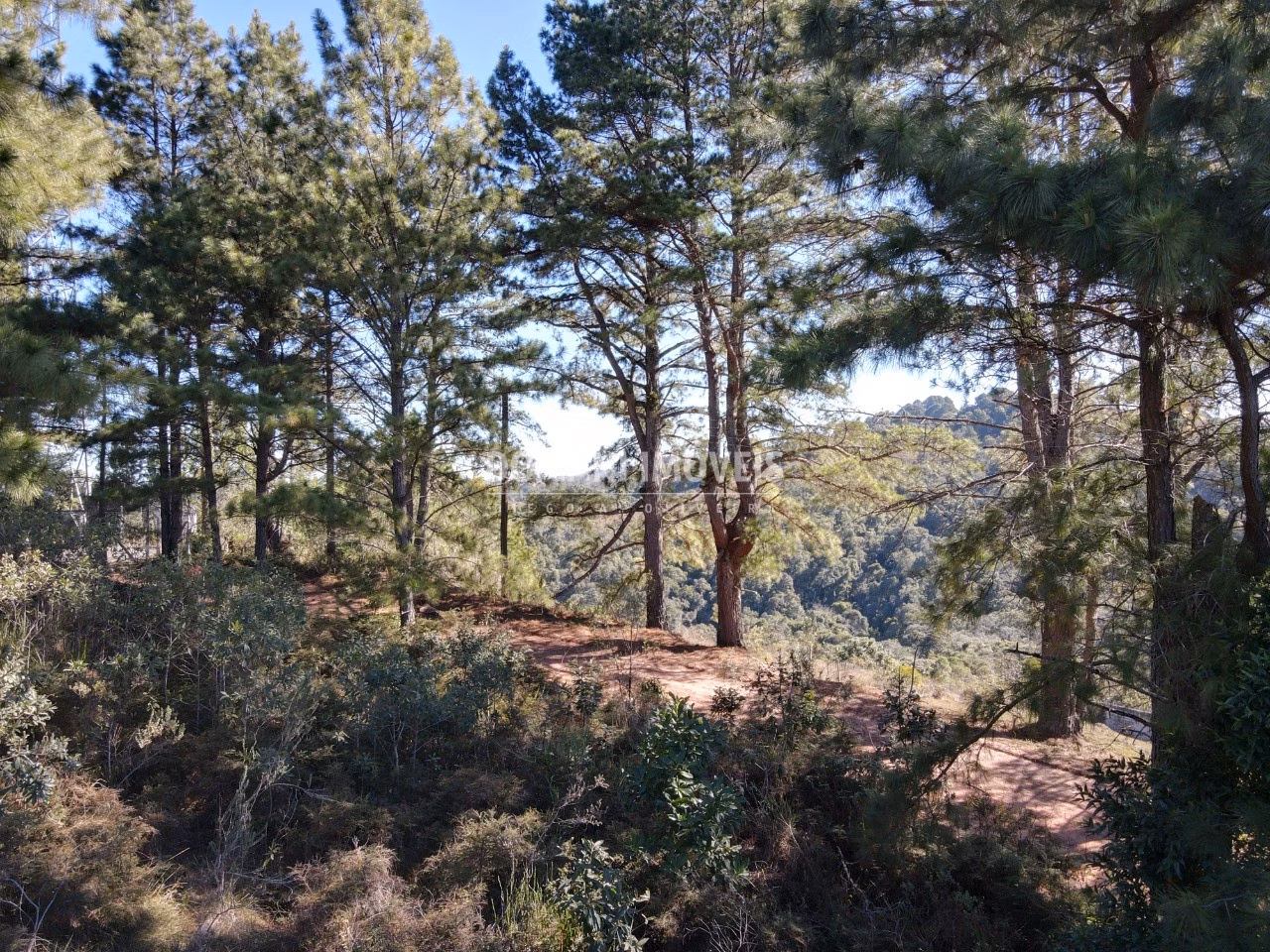 Plot of 1,030 m² in Campos do Jordão, SP, Brazil