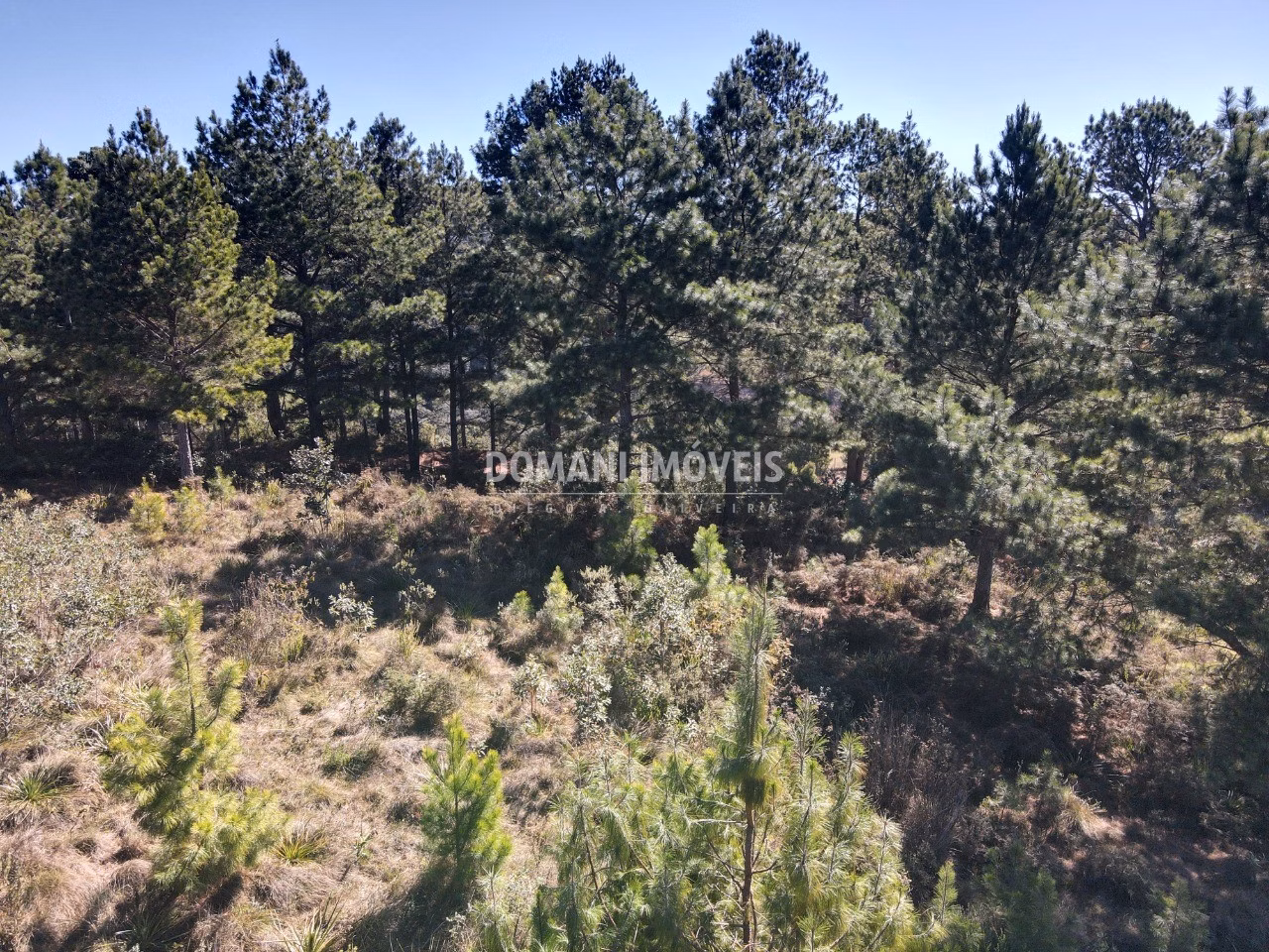 Plot of 1,030 m² in Campos do Jordão, SP, Brazil