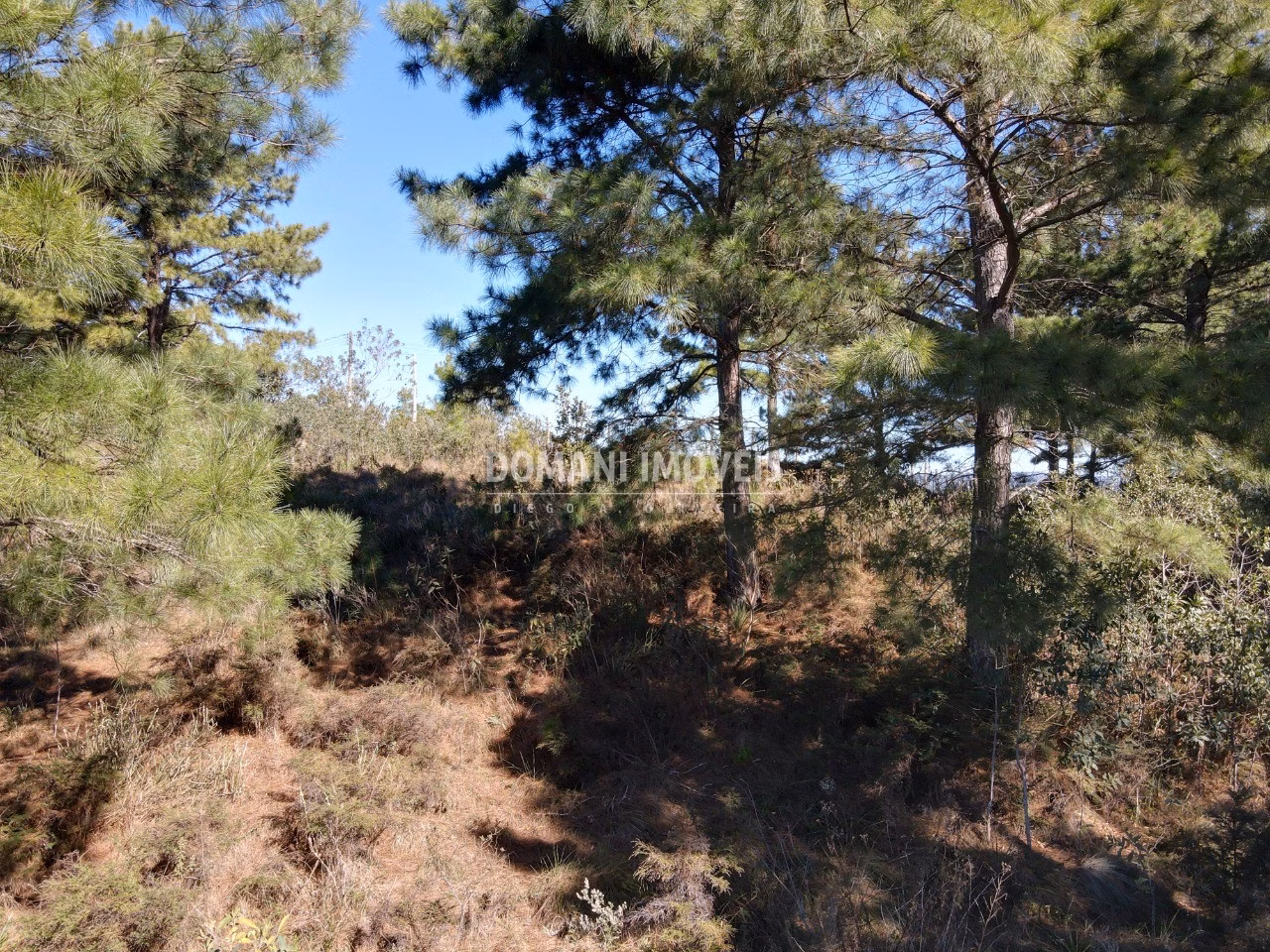 Plot of 1,030 m² in Campos do Jordão, SP, Brazil