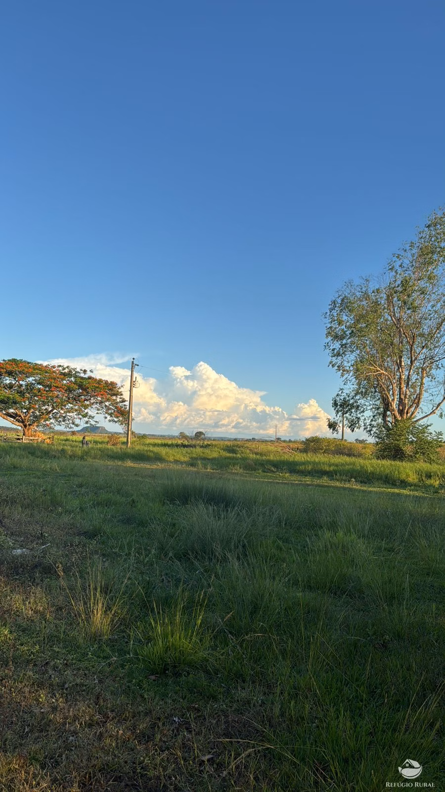 Fazenda à venda de 145 ha em Figueirão, MS