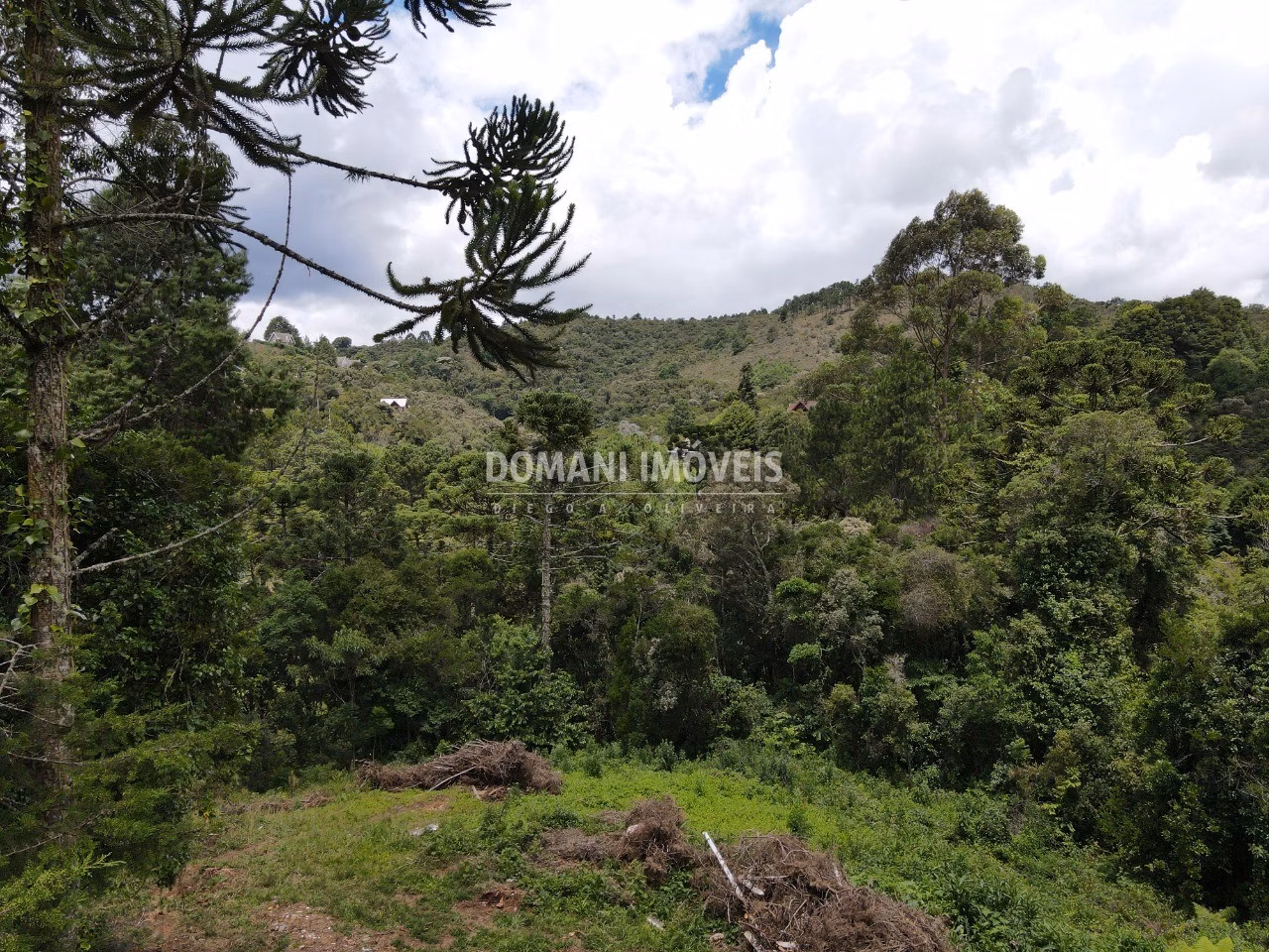 Plot of 3,200 m² in Campos do Jordão, SP, Brazil