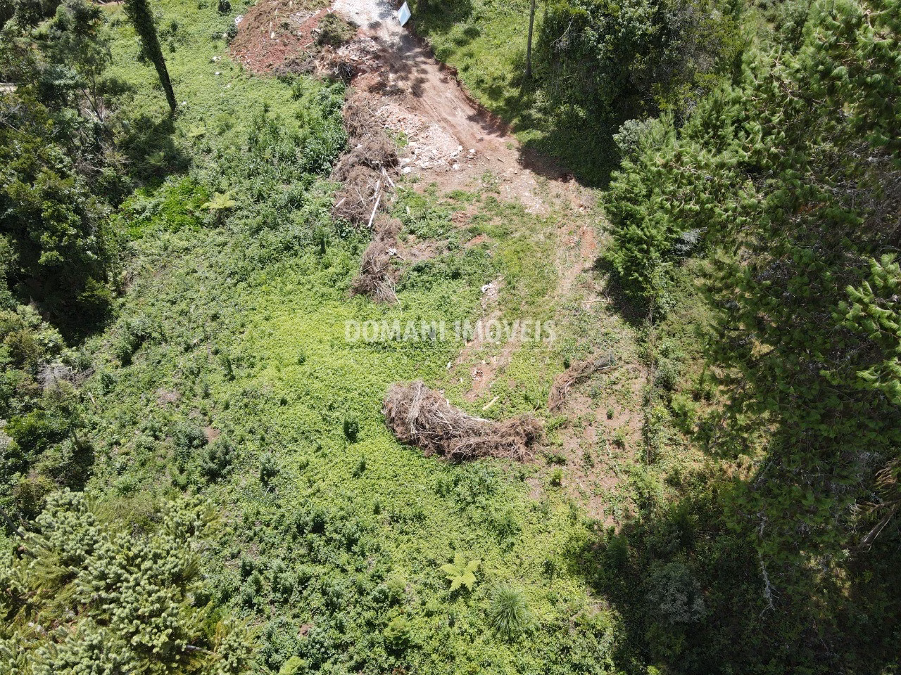 Plot of 3,200 m² in Campos do Jordão, SP, Brazil