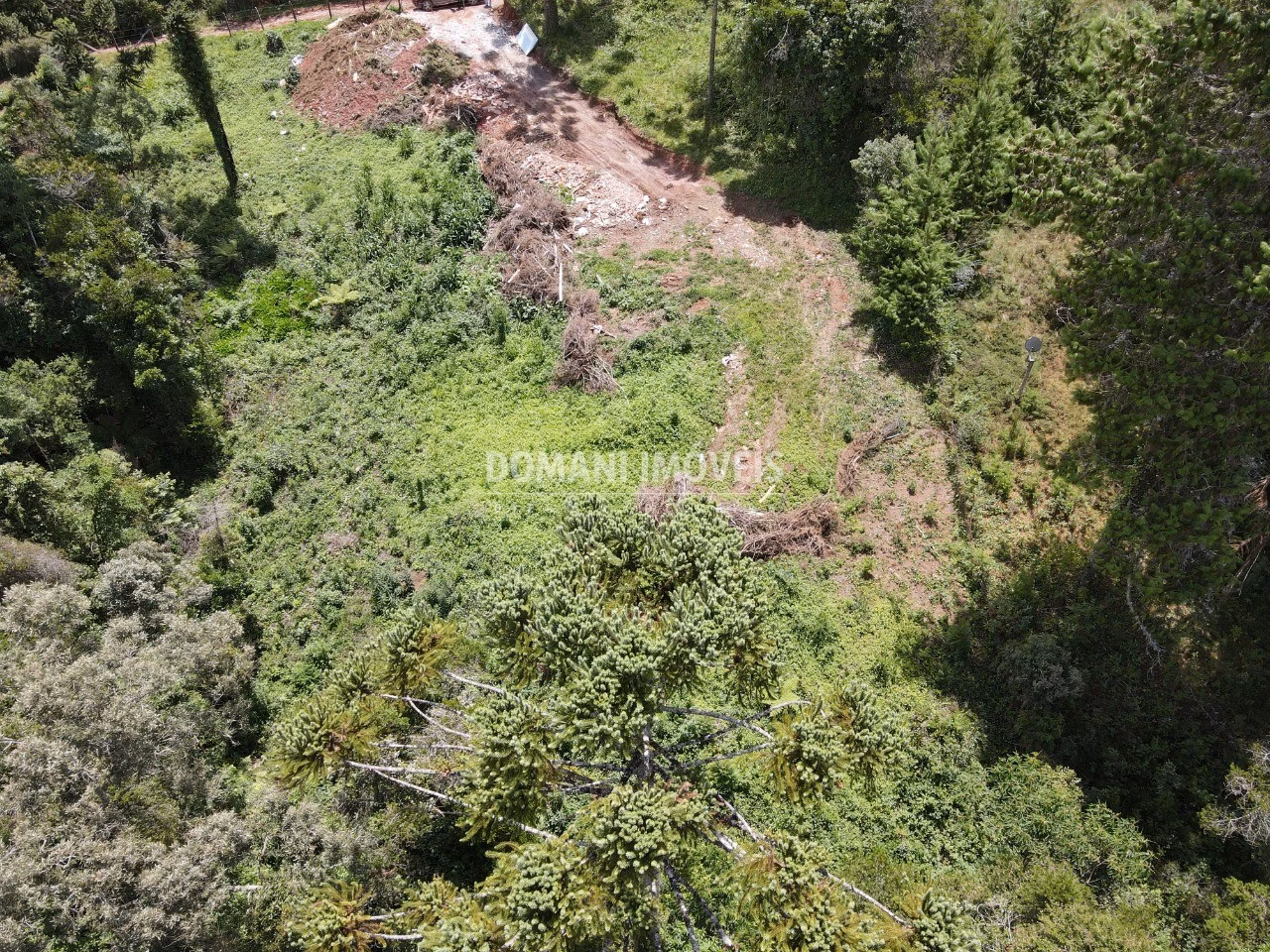Plot of 3,200 m² in Campos do Jordão, SP, Brazil