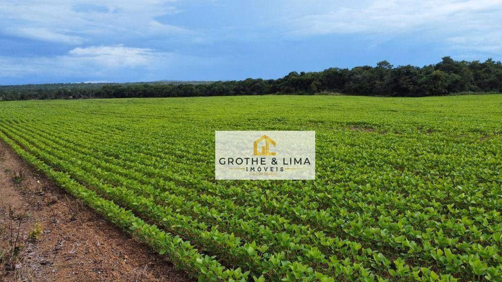 Fazenda de 448 ha em Gurupi, TO