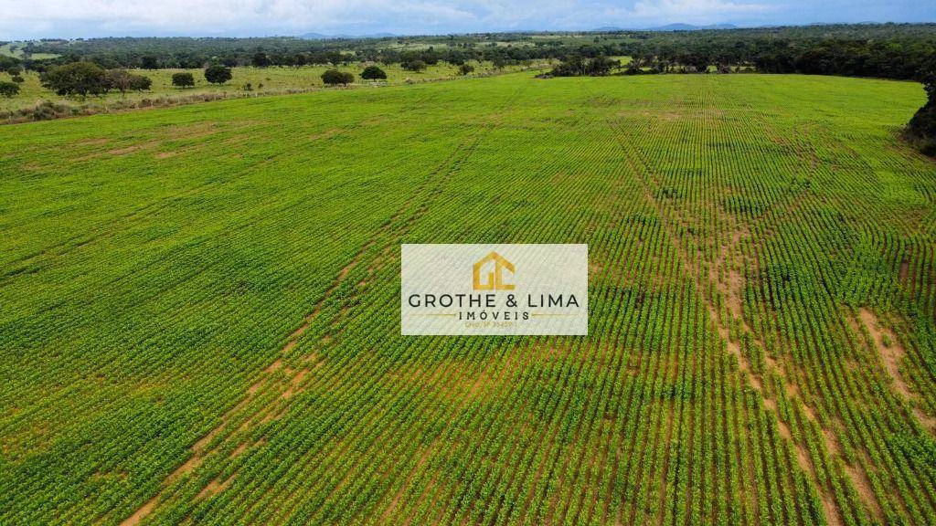 Fazenda de 448 ha em Gurupi, TO
