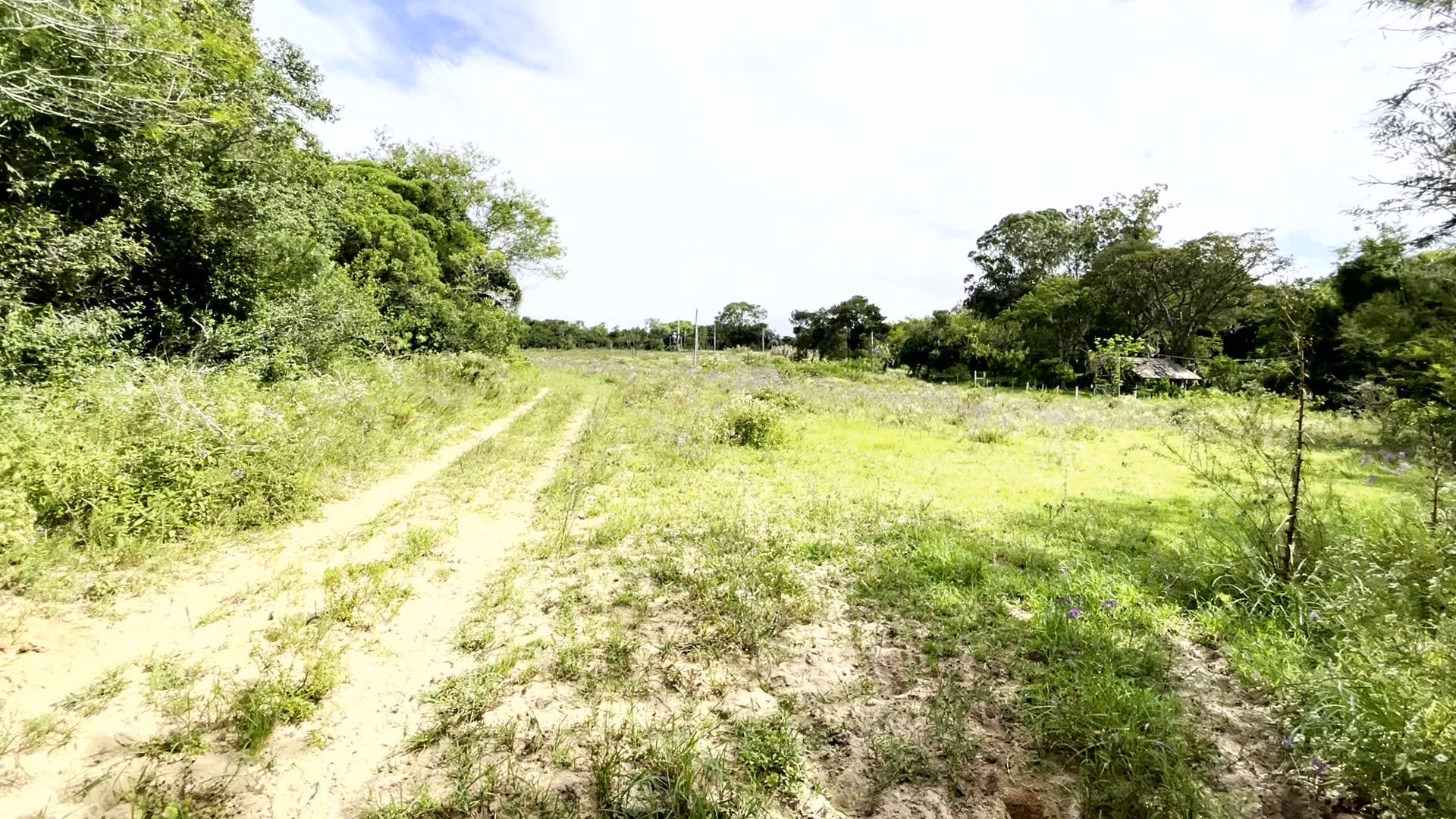 Sítio de 19 ha em Viamão, RS