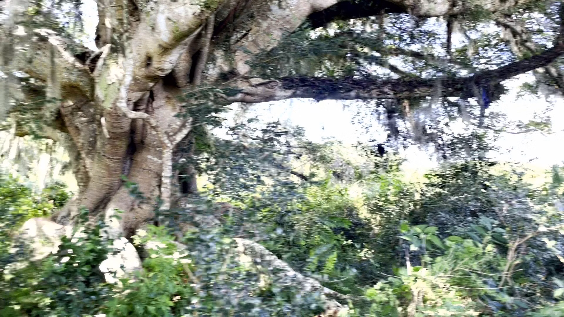 Sítio de 19 ha em Viamão, RS