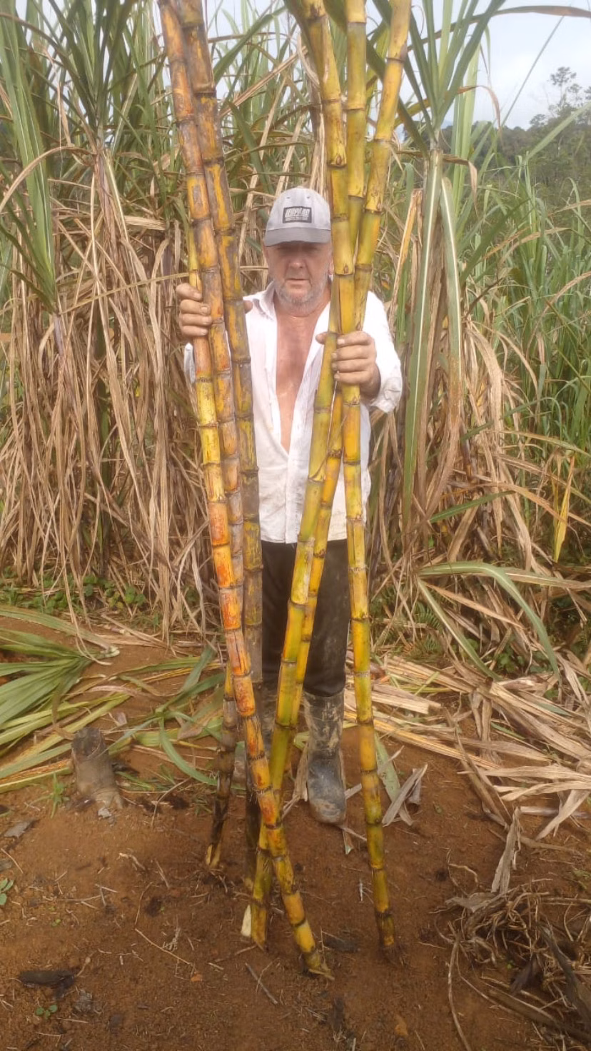 Chácara de 3 ha em Antonina, PR