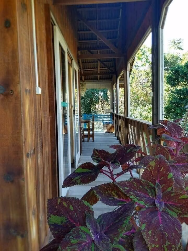 Farm of 1 acres in Canelinha, SC, Brazil