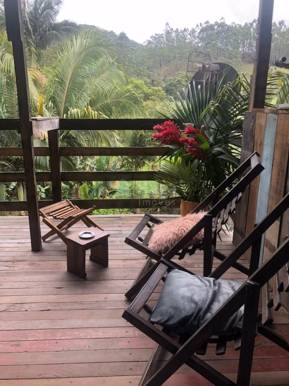 Farm of 1 acres in Canelinha, SC, Brazil