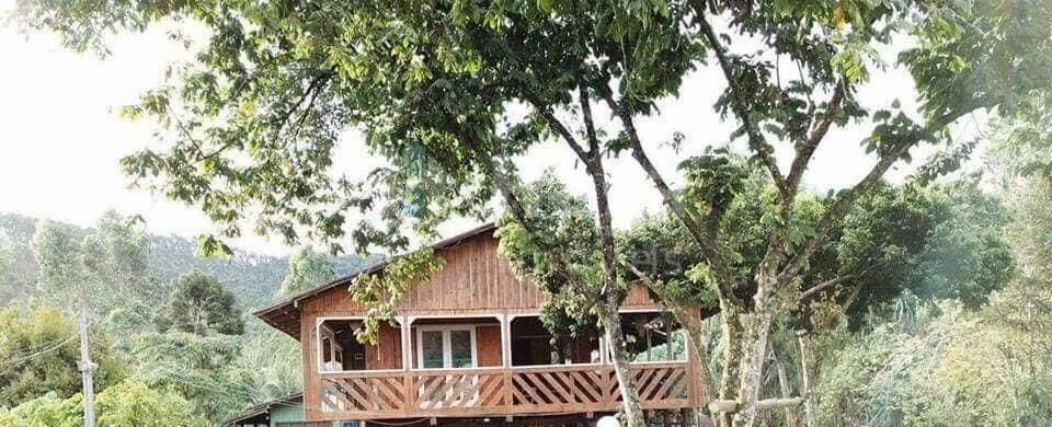 Farm of 1 acres in Canelinha, SC, Brazil