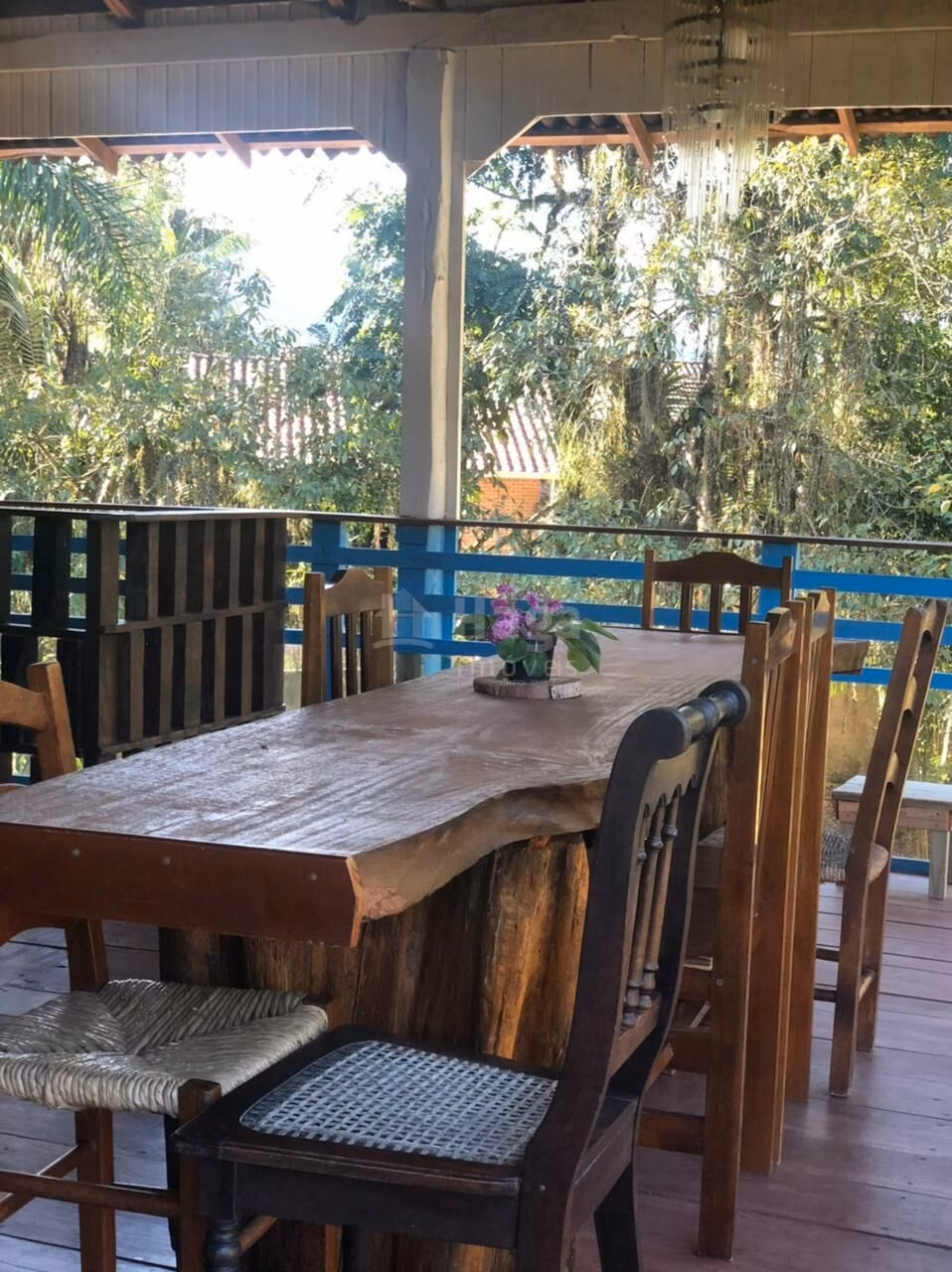 Farm of 1 acres in Canelinha, SC, Brazil